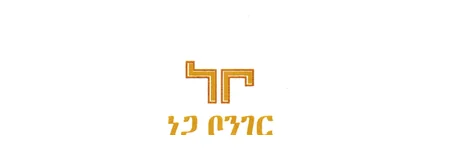 Nega Bonger Hotel logo